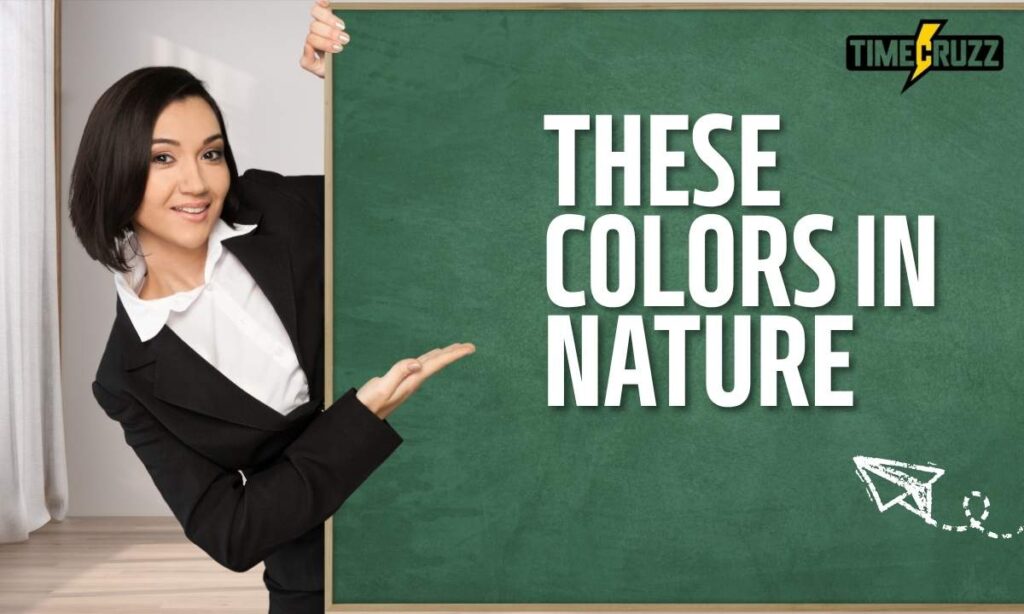 indigo-vs-violet-vs-purple
